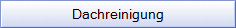 Dachreinigung